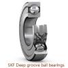 1.984 mm x 6.35 mm x 4.366 mm  SKF D/W RW1-4-2ZS Rolamentos de esferas profundas #1 small image