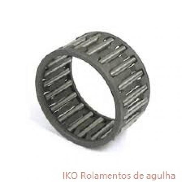 10 mm x 22 mm x 13 mm  IKO NAF 102213 Rolamentos de agulha #1 image